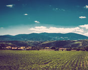 网页攻击器教程